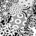 Laminat Falquon Quadraic Q002 Black&White