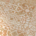 Laminat Falquon Quadraic Q005 Terracotta